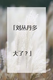 刘丛丹多大了?