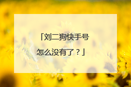 刘二狗快手号怎么没有了？