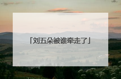 刘五朵被谁牵走了