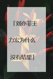 刘亦菲王力宏为什么没有结果