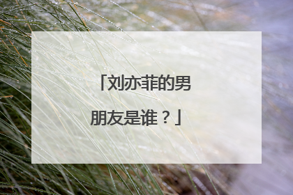 刘亦菲的男朋友是谁？