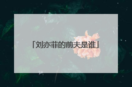 刘亦菲的前夫是谁