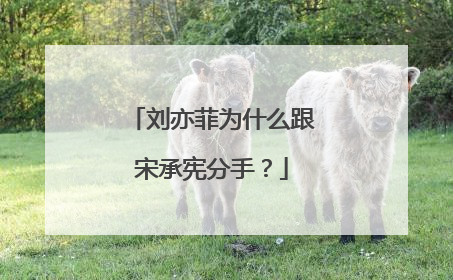 刘亦菲为什么跟宋承宪分手?