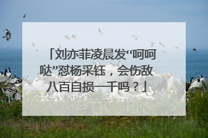 刘亦菲凌晨发“呵呵哒”怼杨采钰，会伤敌八百自损一千吗？