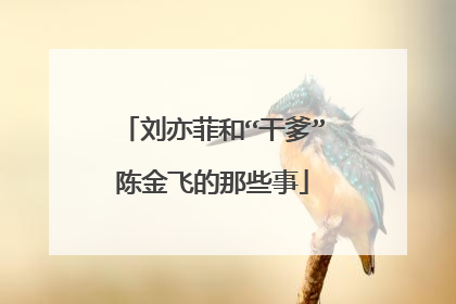 刘亦菲和“干爹”陈金飞的那些事