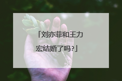 刘亦菲和王力宏结婚了吗?