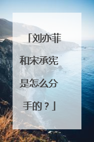 刘亦菲和宋承宪是怎么分手的？