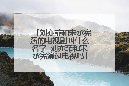 刘亦菲和宋承宪演的电视剧叫什么名字 刘亦菲和宋承宪演过电视吗