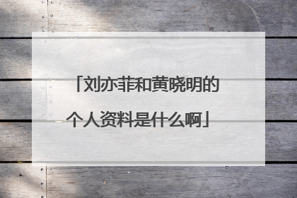 刘亦菲和黄晓明的个人资料是什么啊