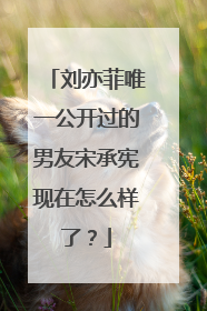 刘亦菲唯一公开过的男友宋承宪现在怎么样了?