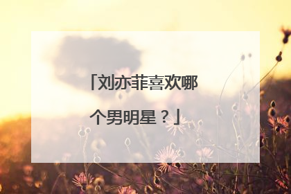 刘亦菲喜欢哪个男明星?