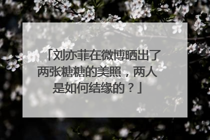 刘亦菲在微博晒出了两张糖糖的美照,两人是如何结缘的?