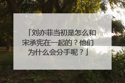 刘亦菲当初是怎么和宋承宪在一起的?他们为什么会分手呢?