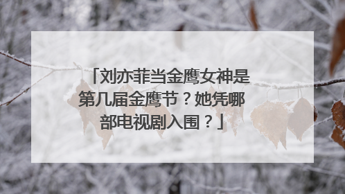刘亦菲当金鹰女神是第几届金鹰节？她凭哪部电视剧入围？