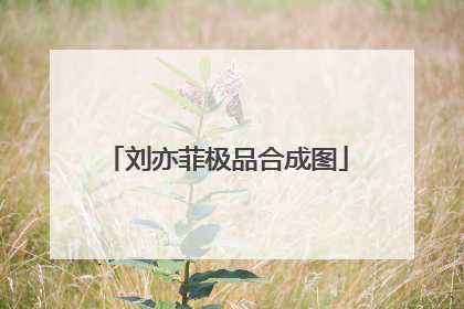 刘亦菲极品合成图