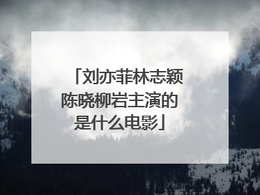 刘亦菲林志颖陈晓柳岩主演的是什么电影