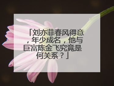 刘亦菲春风得意,年少成名,他与巨富陈金飞究竟是何关系?