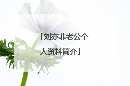 刘亦菲老公个人资料简介