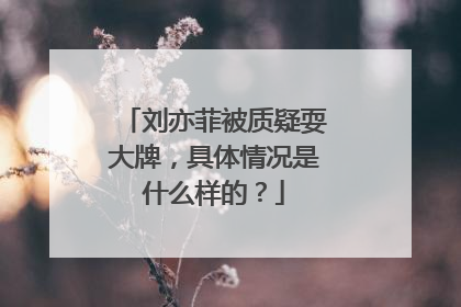 刘亦菲被质疑耍大牌,具体情况是什么样的?
