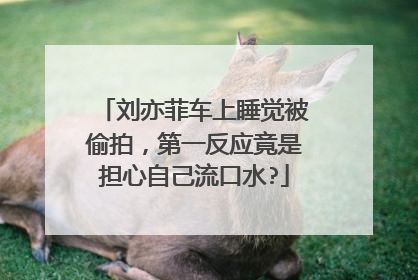 刘亦菲车上睡觉被偷拍,第一反应竟是担心自己流口水?