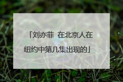 刘亦菲 在北京人在纽约中第几集出现的