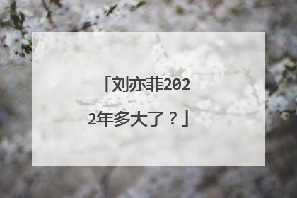 刘亦菲2022年多大了？