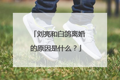 刘亮和白鸽离婚的原因是什么？