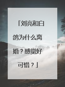 刘亮和白鸽为什么离婚？感觉好可惜？