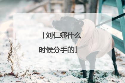 刘仁娜什么时候分手的
