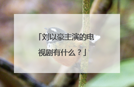 刘以豪主演的电视剧有什么？