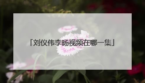 刘仪伟李旸视频在哪一集