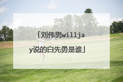 刘伟男willjay说的白先勇是谁