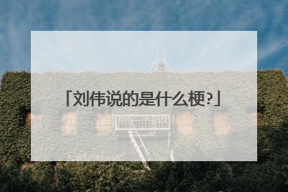 刘伟说的是什么梗?