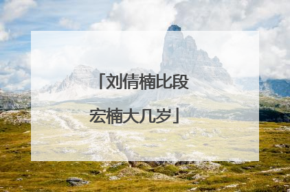 刘倩楠比段宏楠大几岁