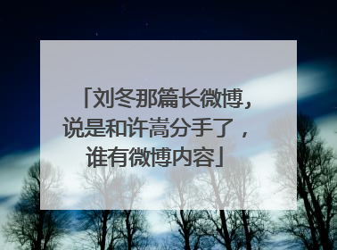 刘冬那篇长微博,说是和许嵩分手了,谁有微博内容