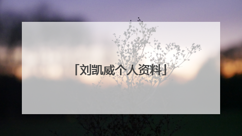 刘凯威个人资料