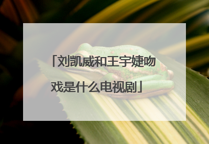 刘凯威和王宇婕吻戏是什么电视剧