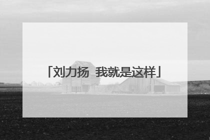 刘力扬 我就是这样