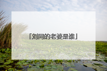 刘同的老婆是谁