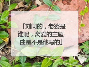 刘同的,老婆是谁呢,离爱的主题曲是不是他写的