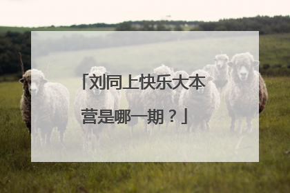 刘同上快乐大本营是哪一期?