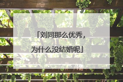 刘同那么优秀,为什么没结婚呢