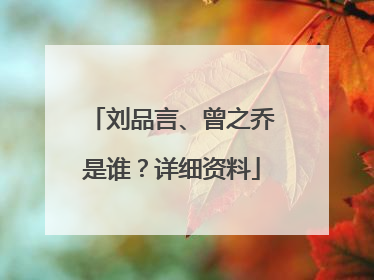 刘品言、曾之乔是谁?详细资料