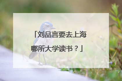 刘品言要去上海哪所大学读书？