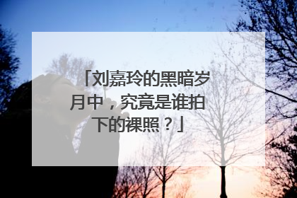 刘嘉玲的黑暗岁月中，究竟是谁拍下的裸照？