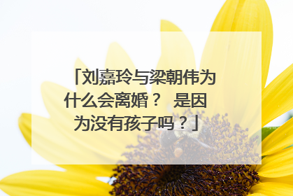 刘嘉玲与梁朝伟为什么会离婚? 是因为没有孩子吗?