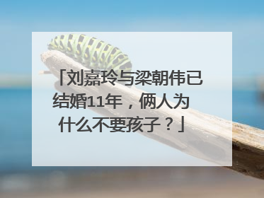 刘嘉玲与梁朝伟已结婚11年，俩人为什么不要孩子？