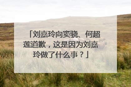 刘嘉玲向窦骁、何超莲道歉，这是因为刘嘉玲做了什么事？