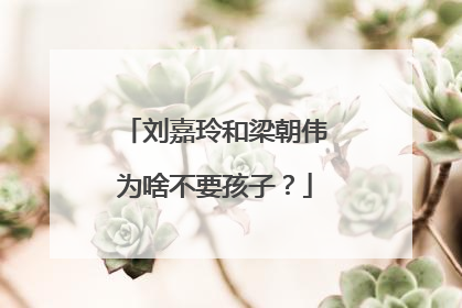 刘嘉玲和梁朝伟为啥不要孩子？