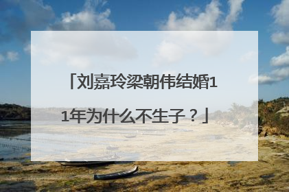 刘嘉玲梁朝伟结婚11年为什么不生子？